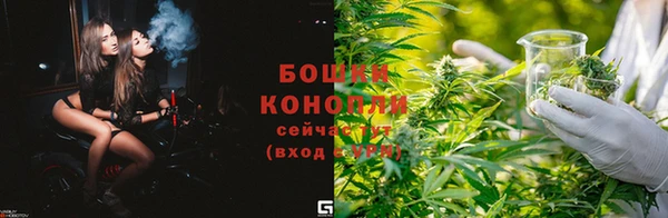 ГАЛЛЮЦИНОГЕННЫЕ ГРИБЫ Россошь