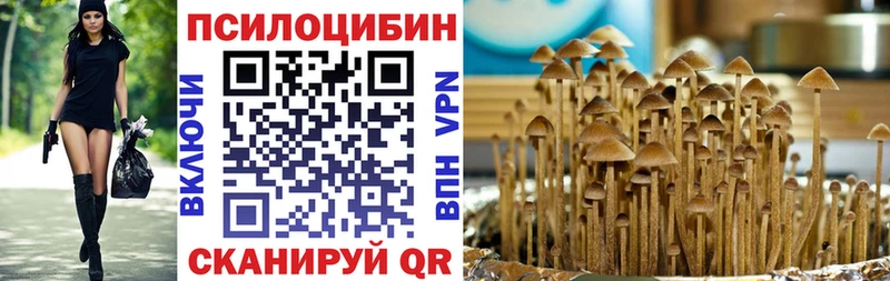 Галлюциногенные грибы мицелий  наркошоп  Тобольск 