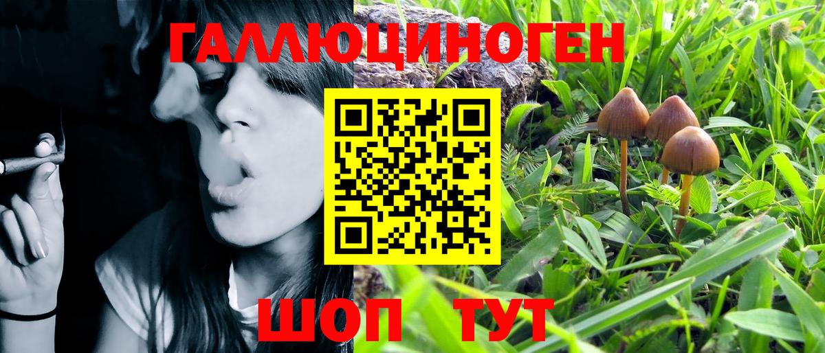 Псилоцибиновые грибы MAGIC MUSHROOMS Тобольск